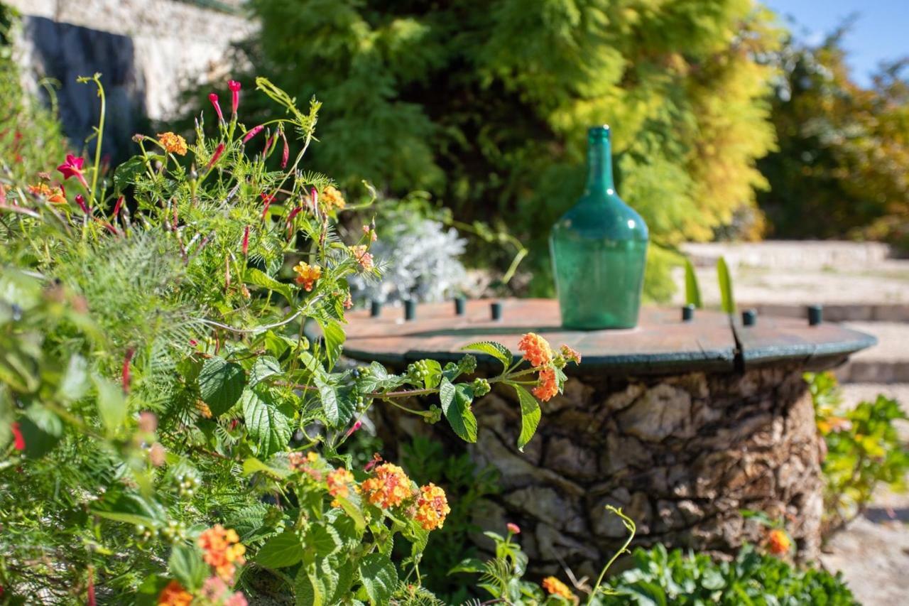 Country House Bakicevo Cilipi Exterior photo